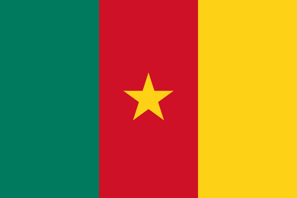 Paczki i przesyłki do Kamerunu