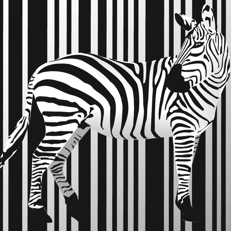 Drukarka etykiet typu zebra
