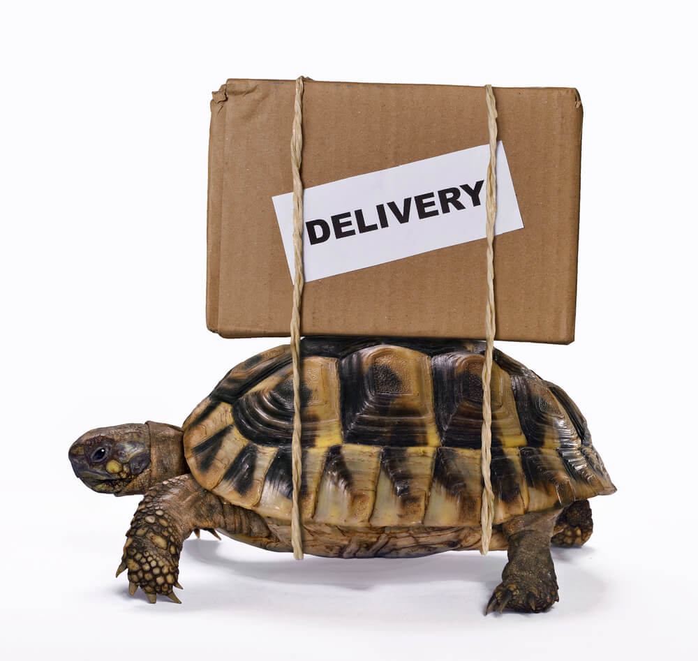 Spóźniona paczka – co zrobić, gdy przesyłka nie dotrze na czas?