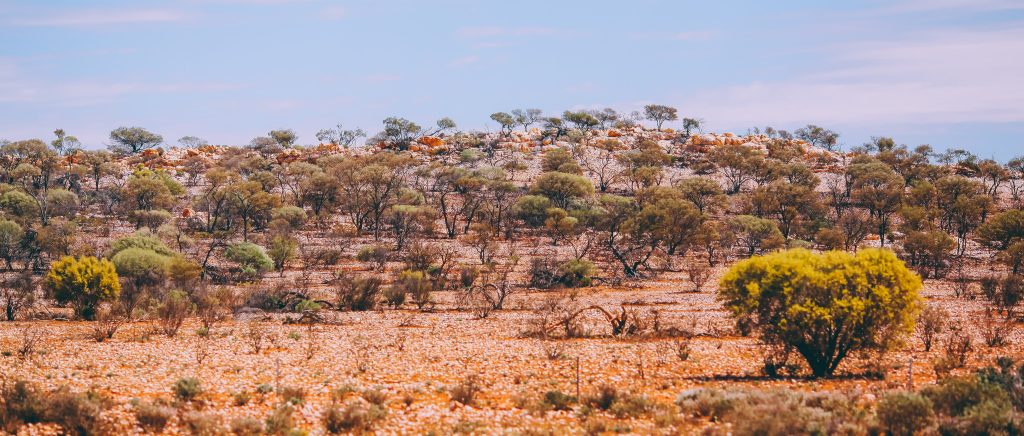 list do australii cena