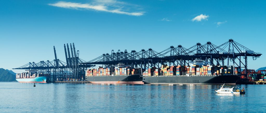 uszlachetnianie czynne