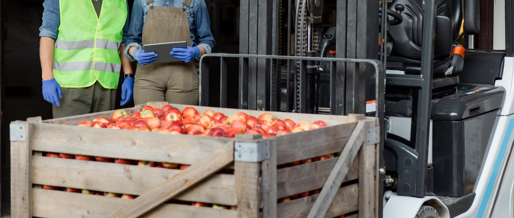 magazynowanie żywności