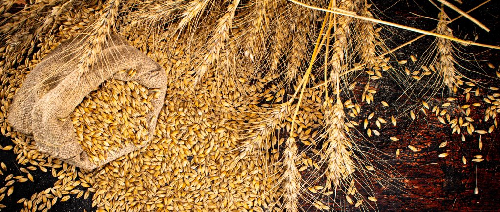 embargo na zboże z ukrainy