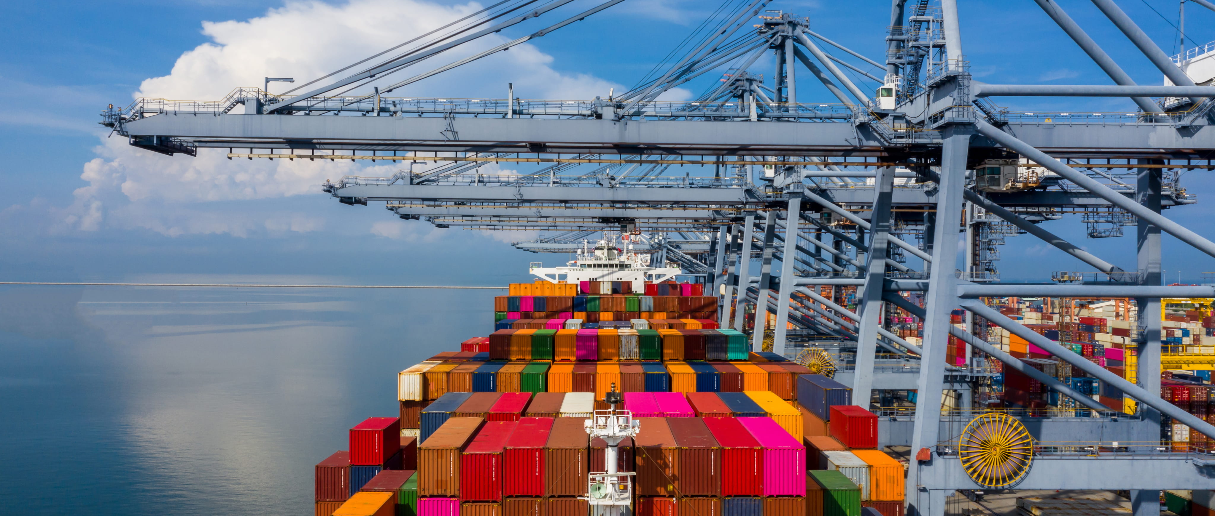 cło unia europejska